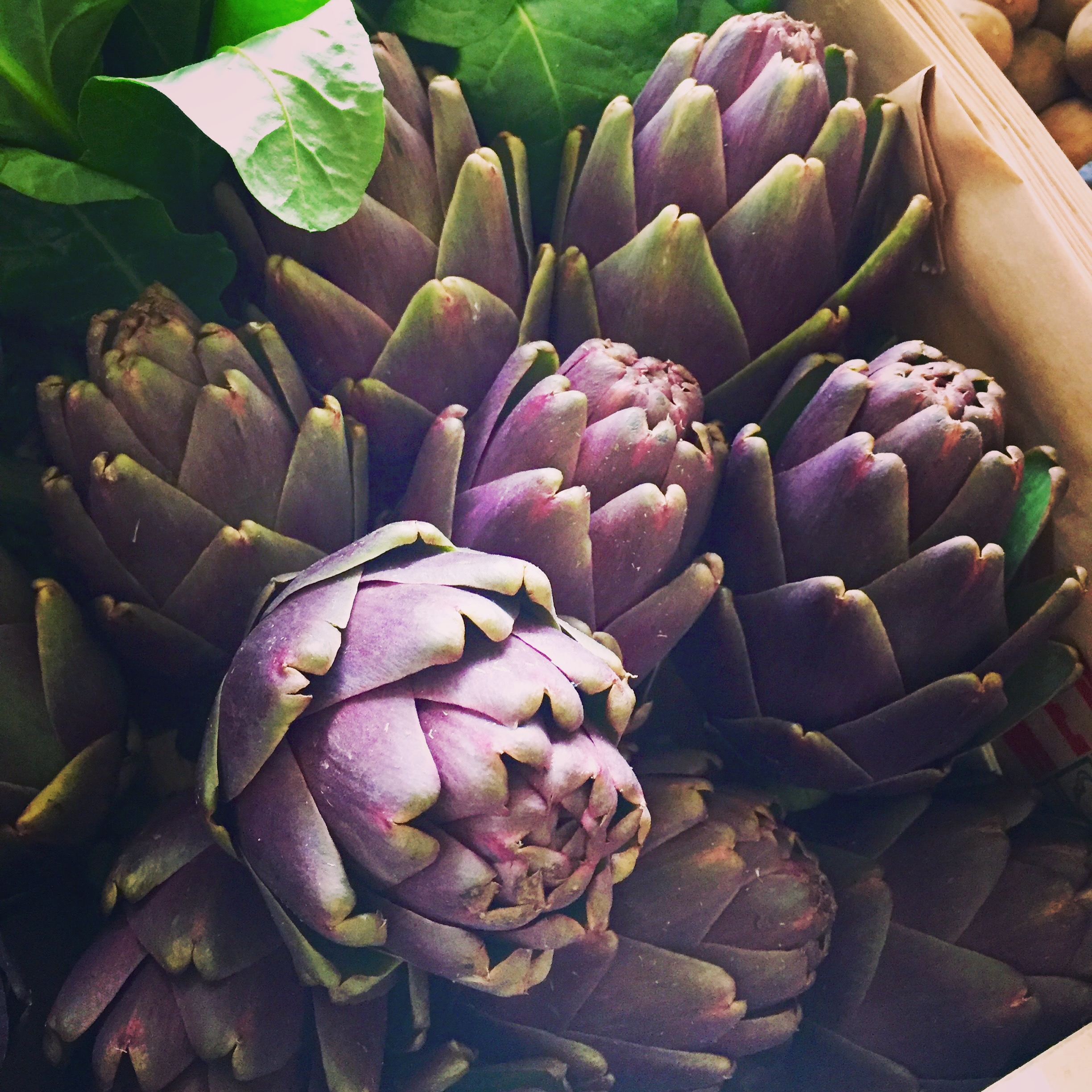 Artichokes in a box